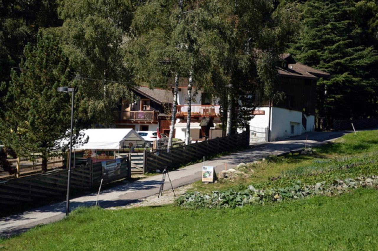 Maso Kofler Villa Rumo Dış mekan fotoğraf